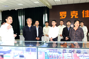 国家节能中心领导莅临1号娱乐科技考察调研1