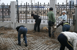 1-047 公司除草 薛双龙