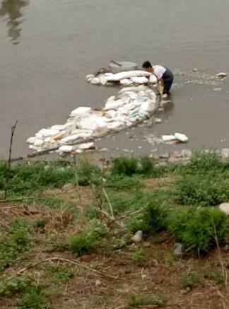 1号娱乐科技环保运维团队