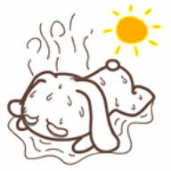 炎炎夏日，来一场绿色马拉松，约么？